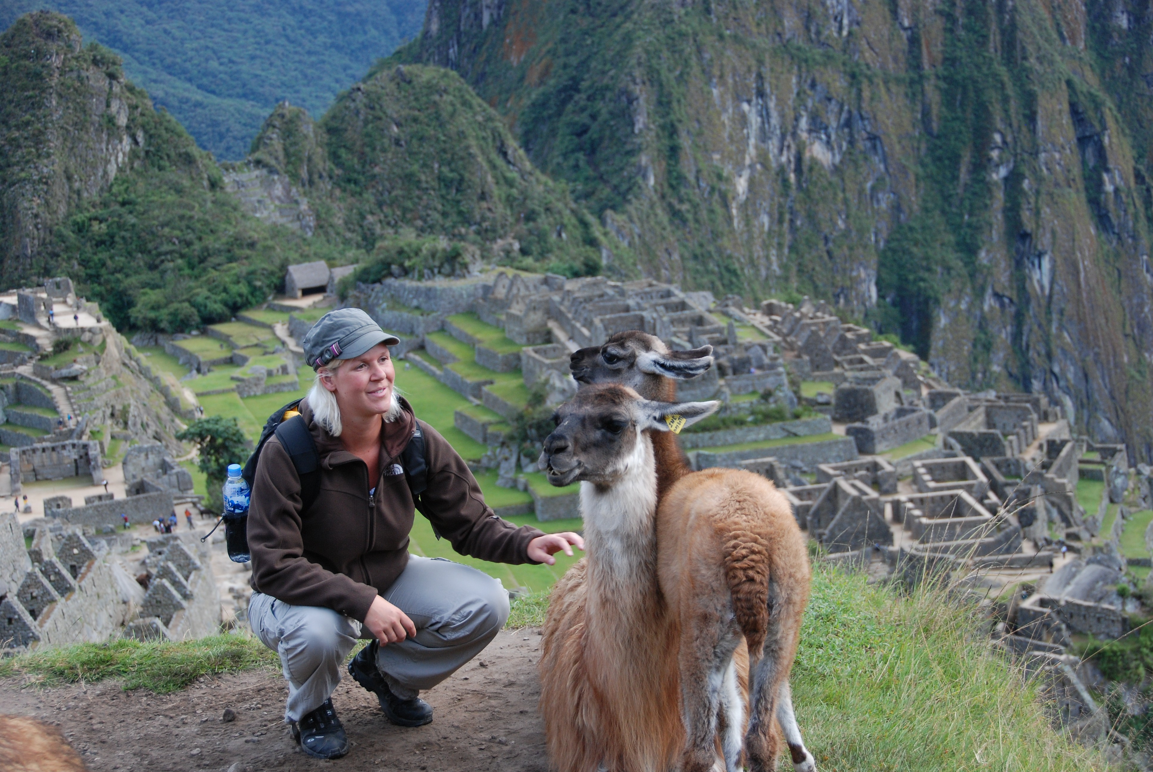 De lieve lama's bij Machu Picchu 