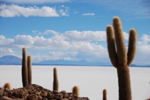Salar de Uyuni in Bolivia op 3650 m hoogte.