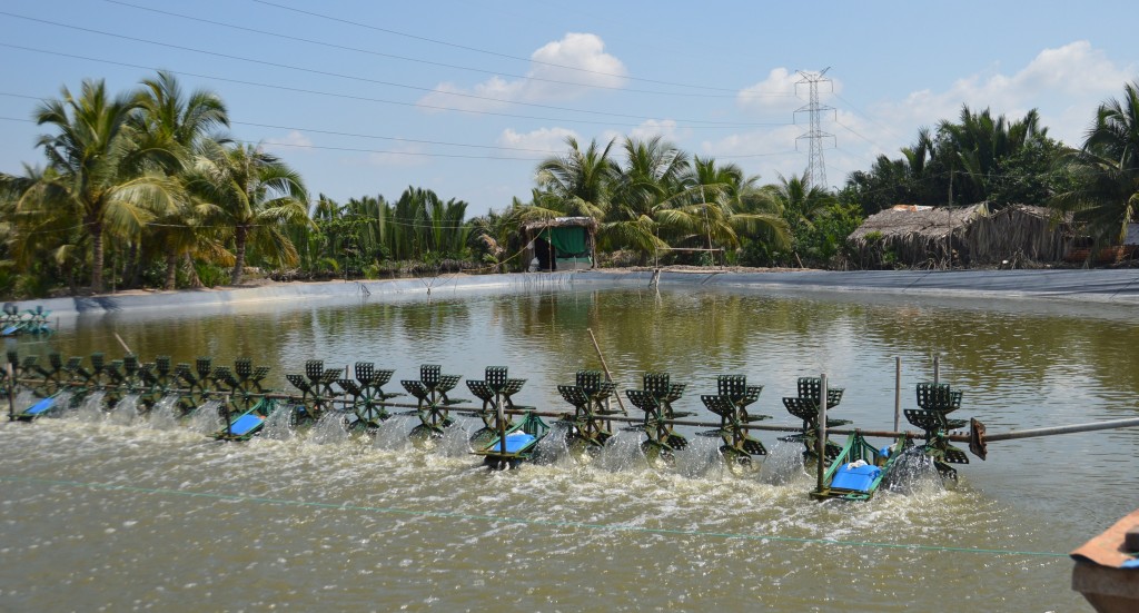 Garnalenfabriek, de wendels zorgen voor meer zuurstof in het water