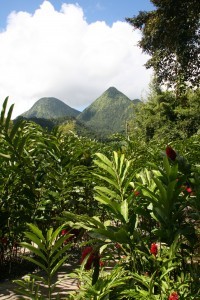 Martinique natuur