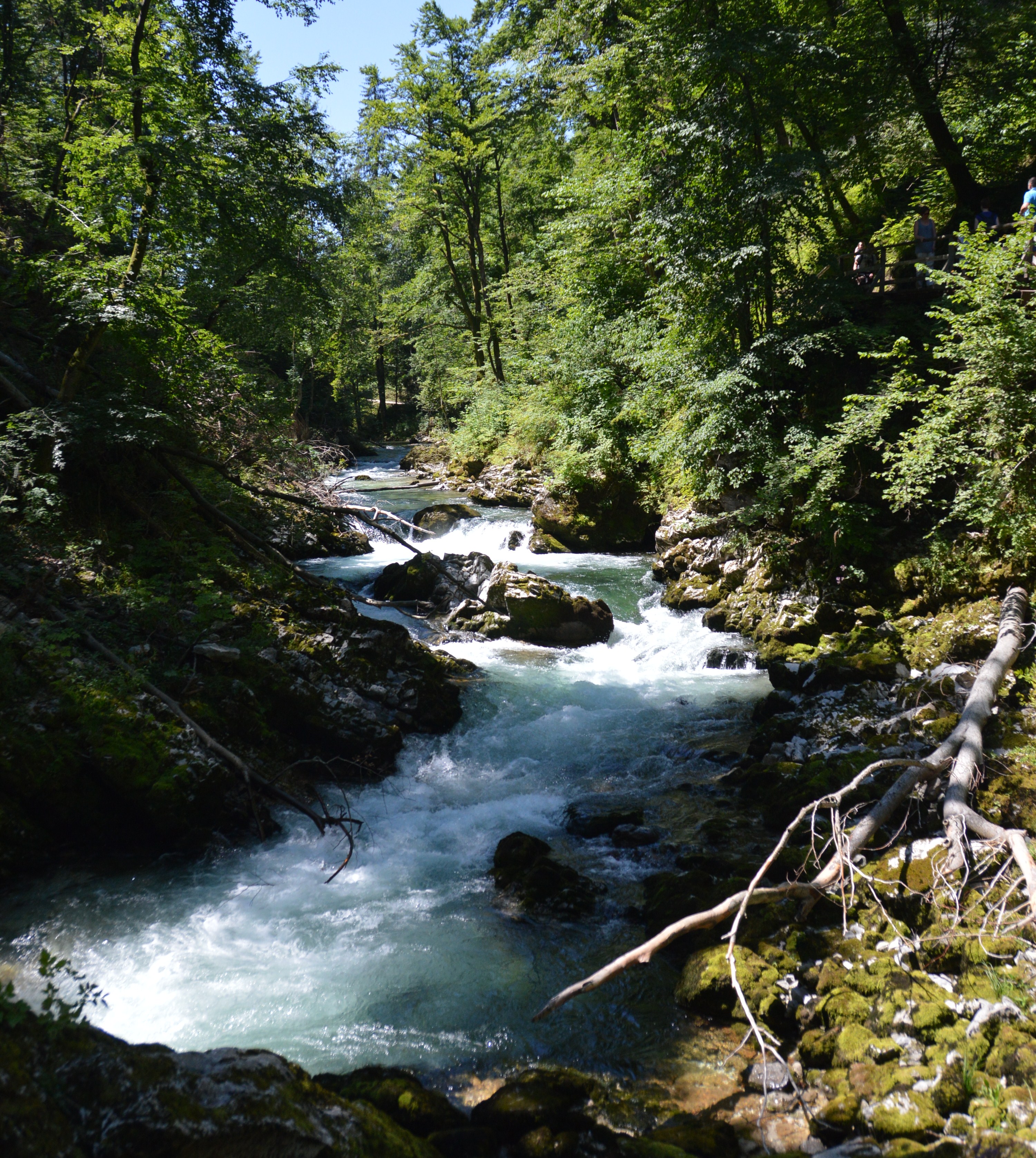 Een dag in de omgeving van Ljubljana