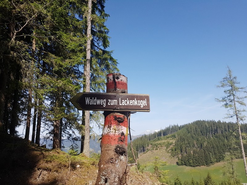 3 leuke bergwandelingen in de omgeving van Flachau