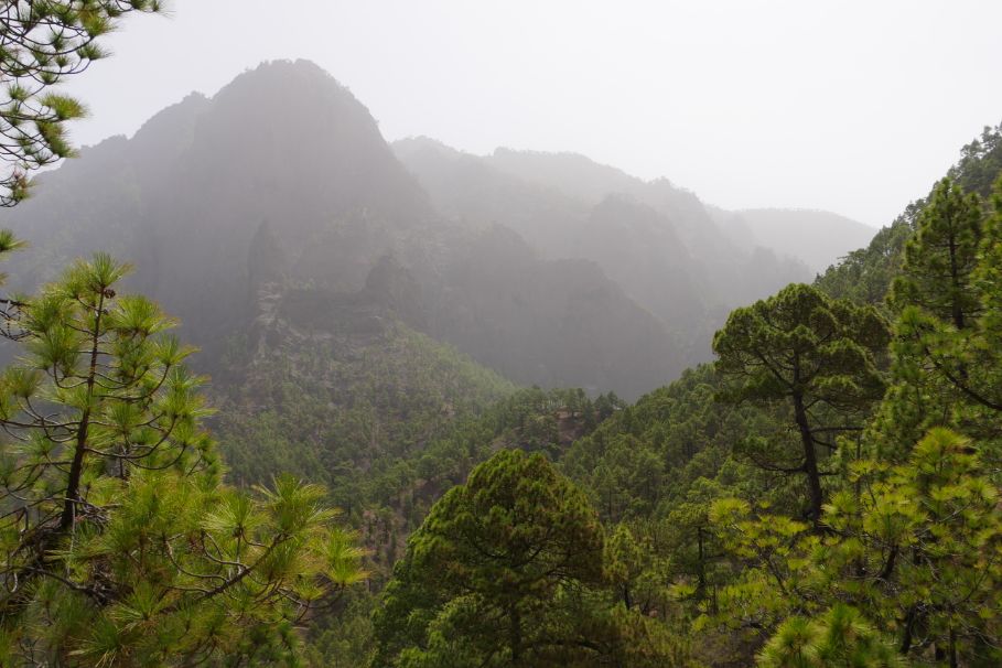 caldera la palma