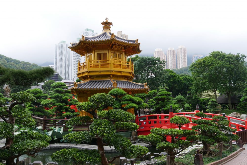 Hong Kong met kinderen, dit zijn de leukste plekken!