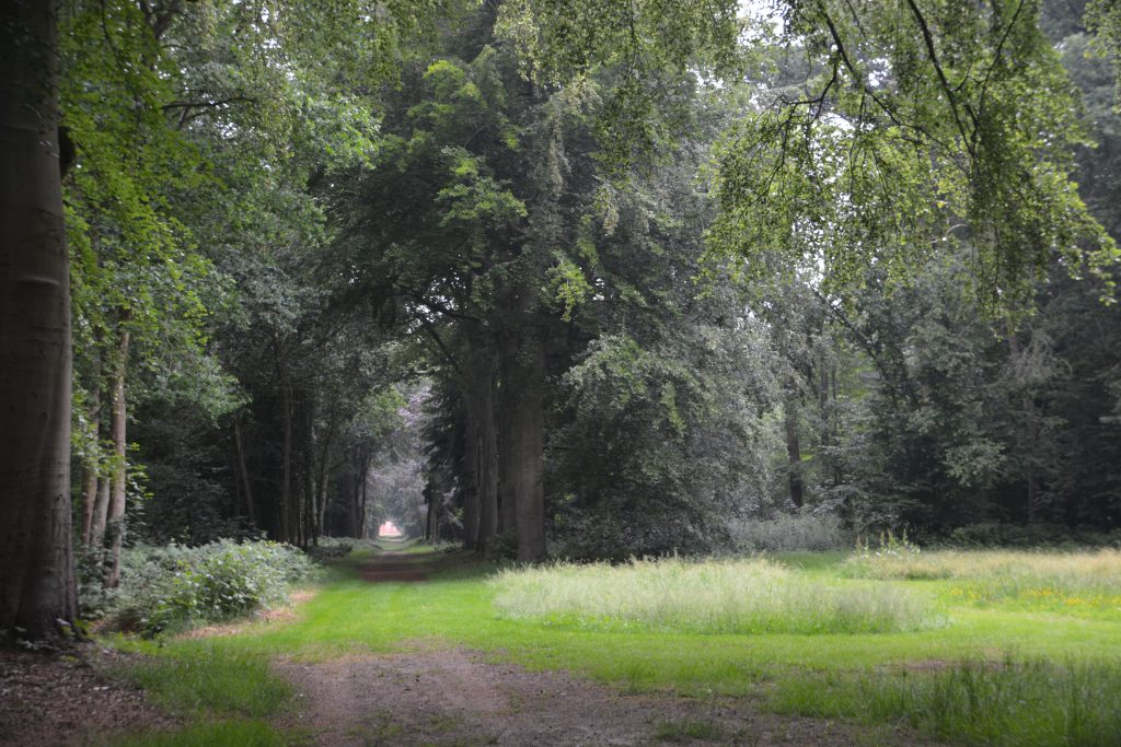 natuur in de omgeving van slochteren groningen