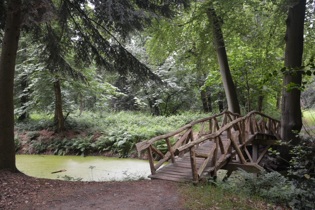 natuur in de omgeving van slochteren groningen