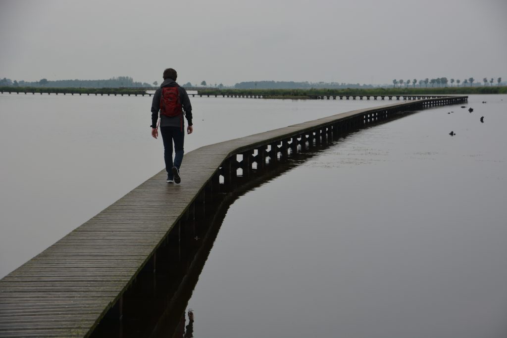 roegwold bij slochteren groningen