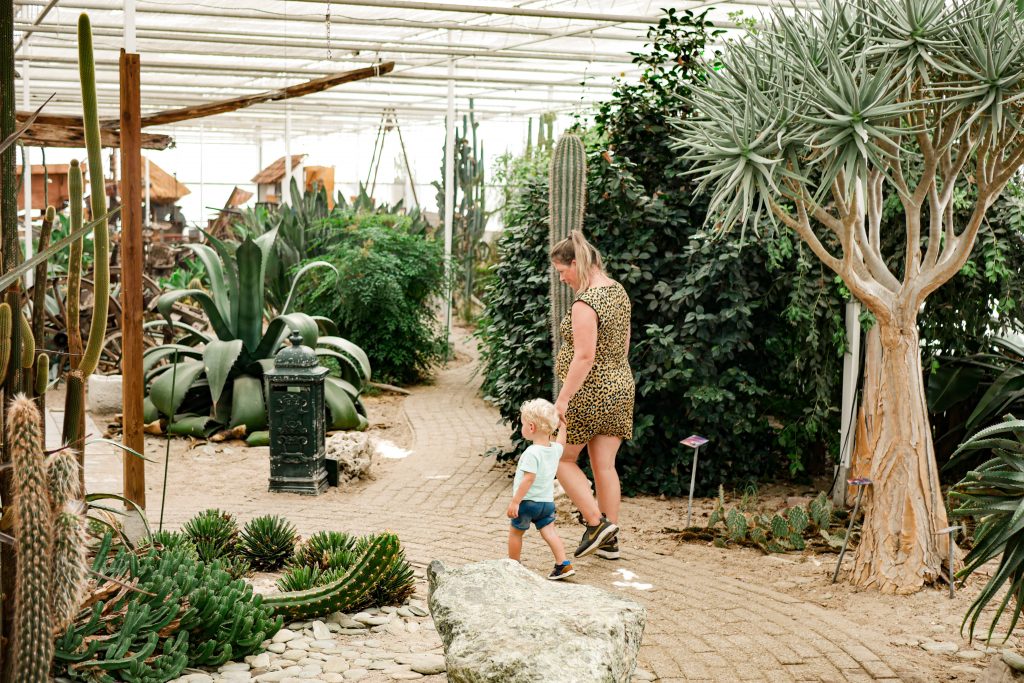 Vakantie in de Achterhoek