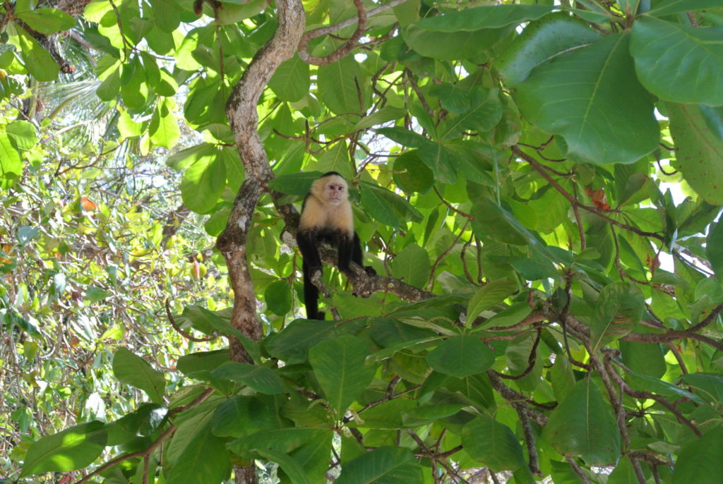 costa rica