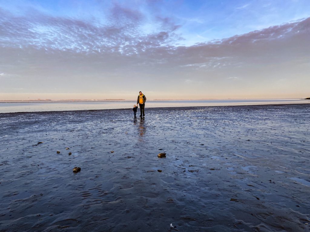 terugblik op de reizen in 2020