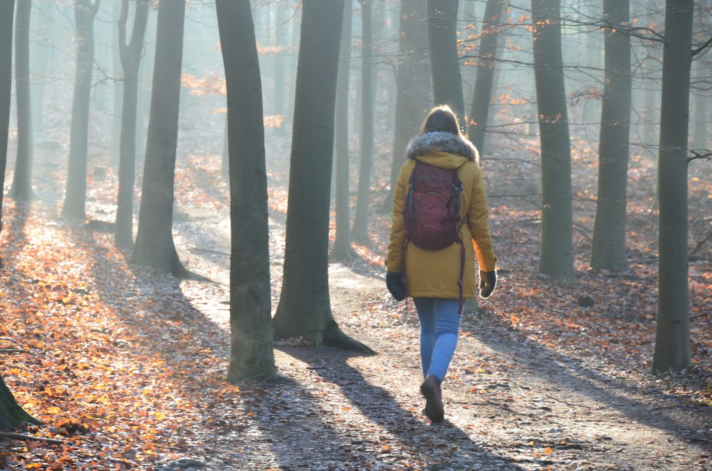 wandelen sallandse heuvelrug