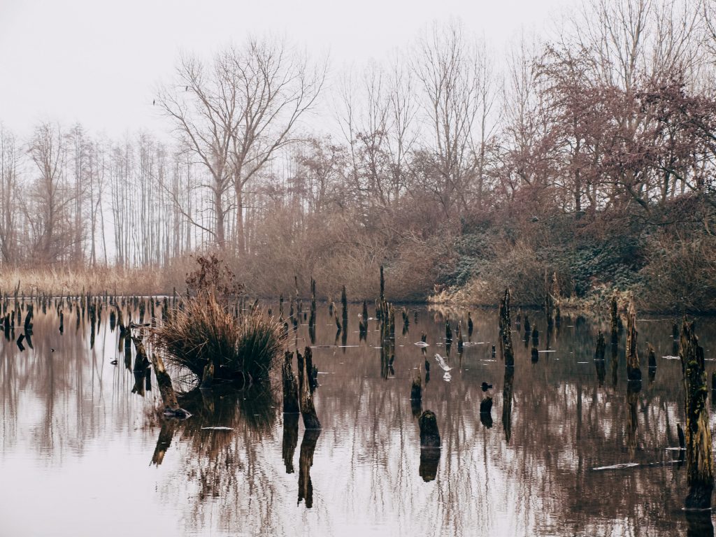 rondje linielanding wandeling utrecht verdronken bos