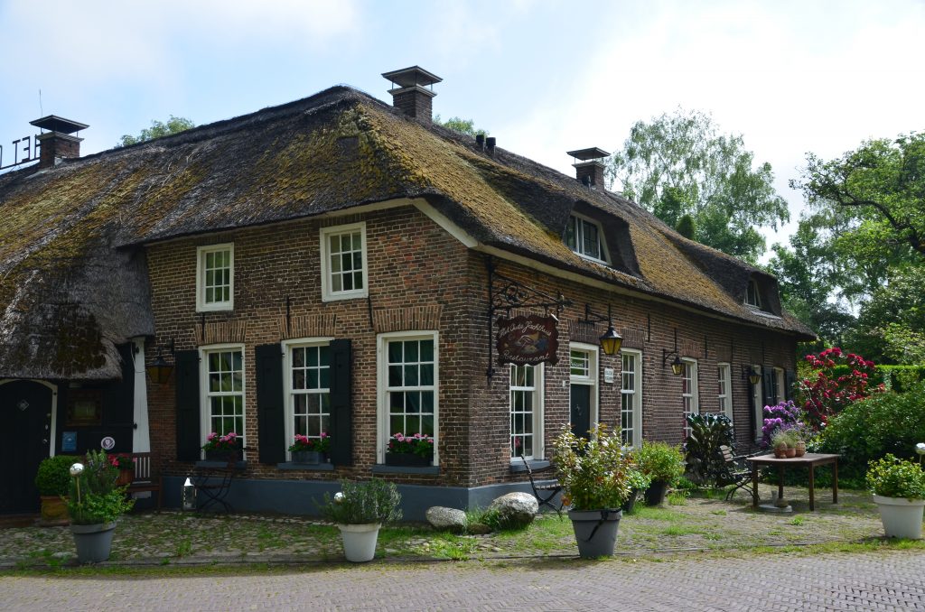 alpaca boerderij