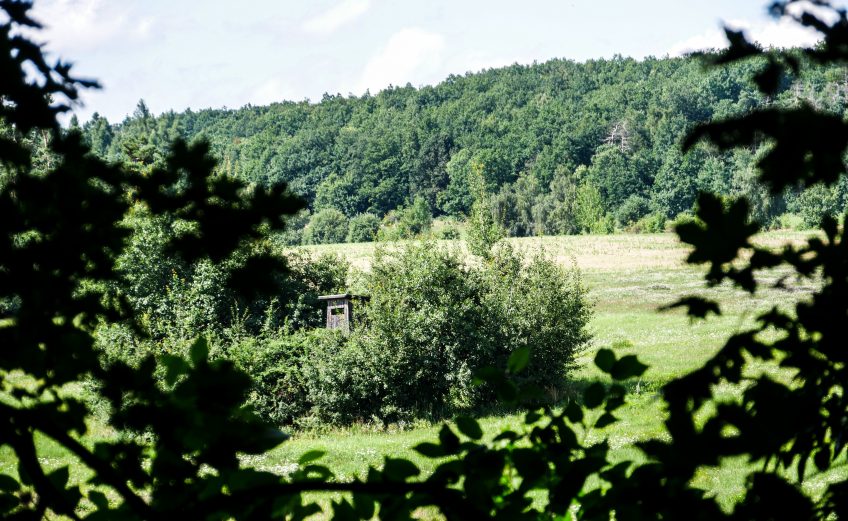 Podyji Nationaal Park, het kleinste maar onvergetelijke park van Tsjechië